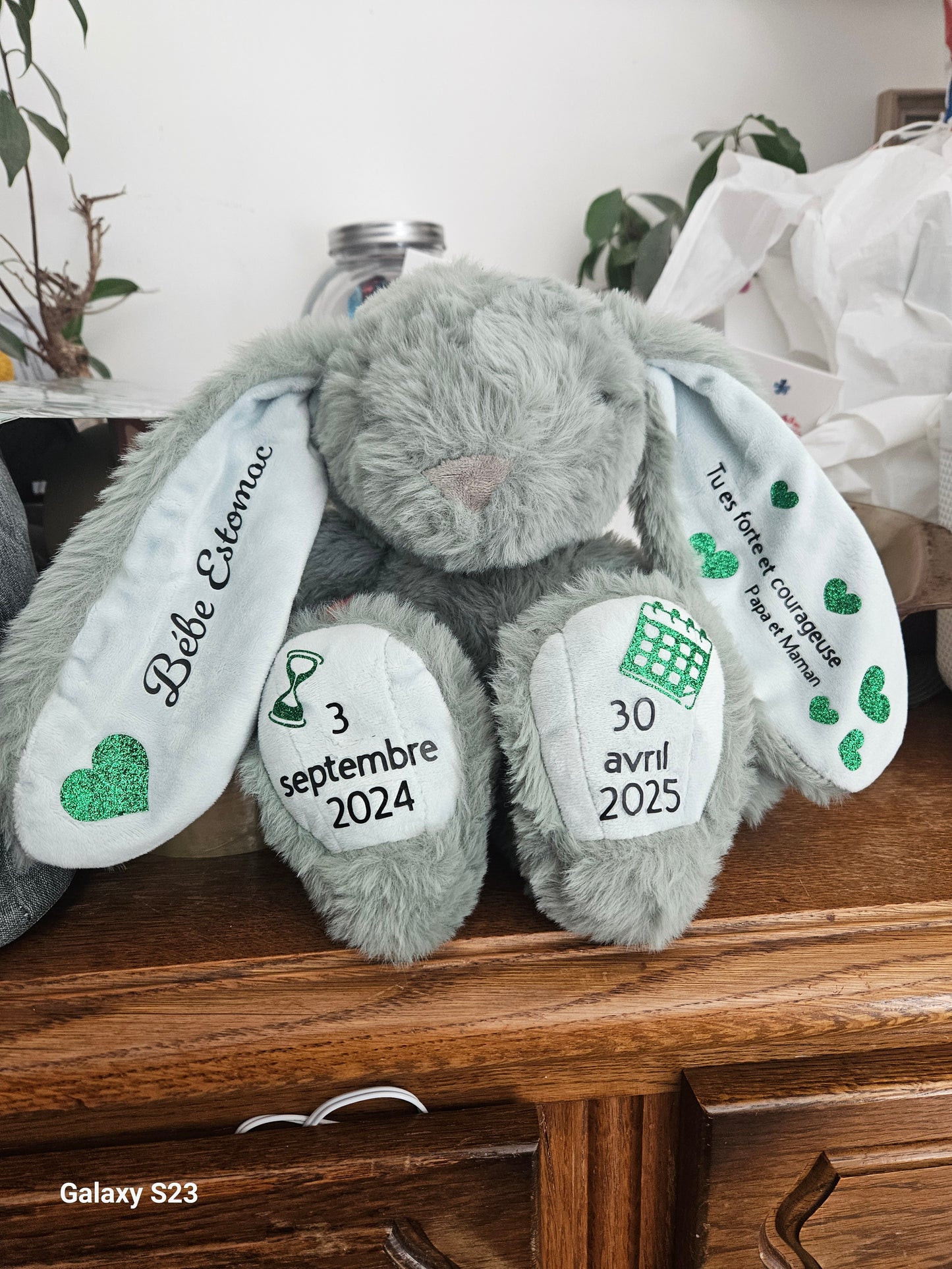 Lapin tout doux🐰